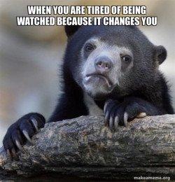 Confession Bear