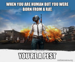 you little pest