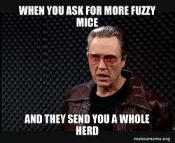 I've got the cat scratch fever and the only prescription is