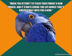 Paranoid Parrot