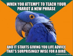 Paranoid Parrot