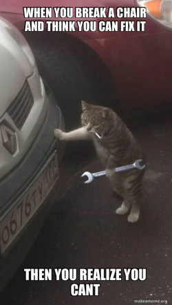 Mechanic Cat
