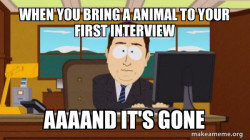 aaaand its gone