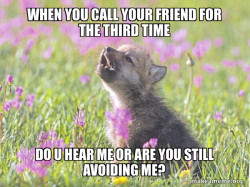 Hello I'm right here
