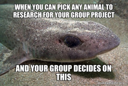 Worst Animal Ever