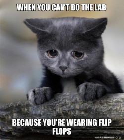 Lab Safety Meme Assignment