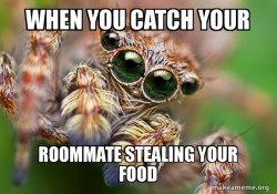 Hipster Spider