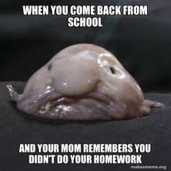 Blobfish