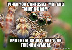 Hipster Spider