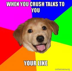 Advice Dog