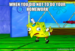 homework