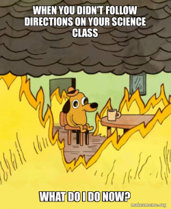 This Is Fine