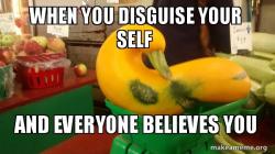 Gourd Advice Mallard