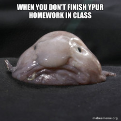 Blobfish