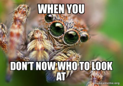 Hipster Spider