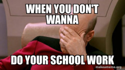 Picard Facepalm