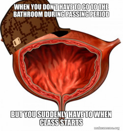 Scumbag Bladder