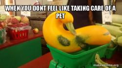 Gourd Advice Mallard