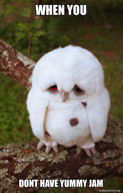 Sad Owl