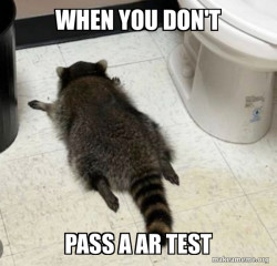 Drunk Raccoon
