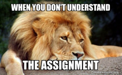 Confession Lion