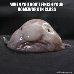 Blobfish