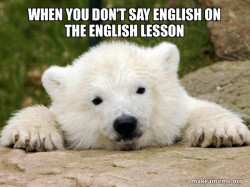 Popular Opinion Bear