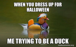 Fashionable Advice Mallard