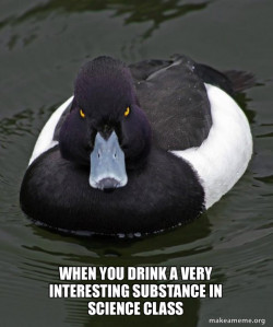 Revenge Duck ( Angry Advice Duck )