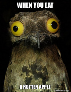 Weird Stuff I do Potoo