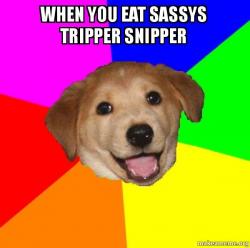 Advice Dog