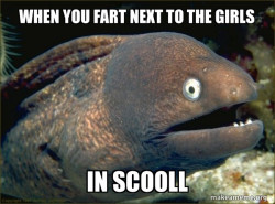 Bad Joke Eel