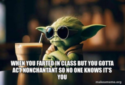 Cool Yoda (Sunglasses)