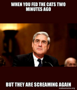 Robert Mueller