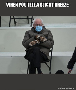 Bernie Sanders at the Inauguration