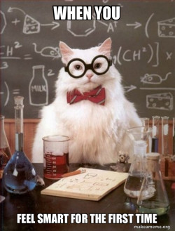 Chemistry Cat