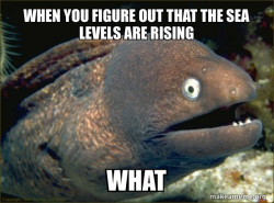 Bad Joke Eel