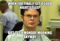 make organizational design meme that is factual but funny