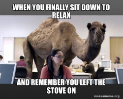 Tom, Tom, Tom, guess what day it is!!!