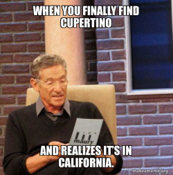 Maury Povich Lie Detector Test