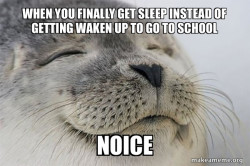 Satisfied Seal
