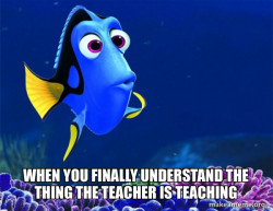 Dory from Nemo  (5 second memory)