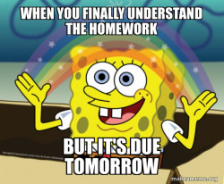 SUMMER SCHOOL