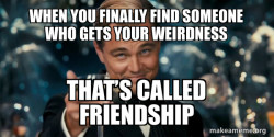 with the word friendship