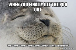 Satisfied Seal