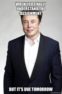 Elon musk mid douggie