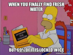 Internets Homer
