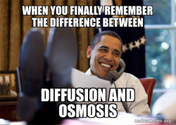Happy Obama Meme