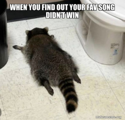 Drunk Raccoon