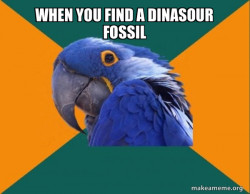 Paranoid Parrot